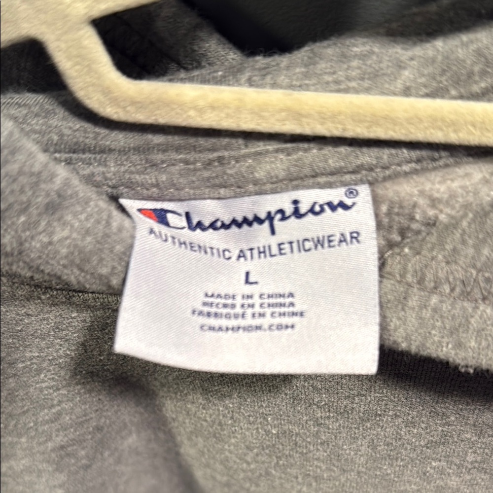 Boy’s Champion Gray Hoodie - Picture 4 of 4